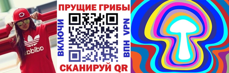 Псилоцибиновые грибы Psilocybine cubensis  как найти закладки  Кореновск 